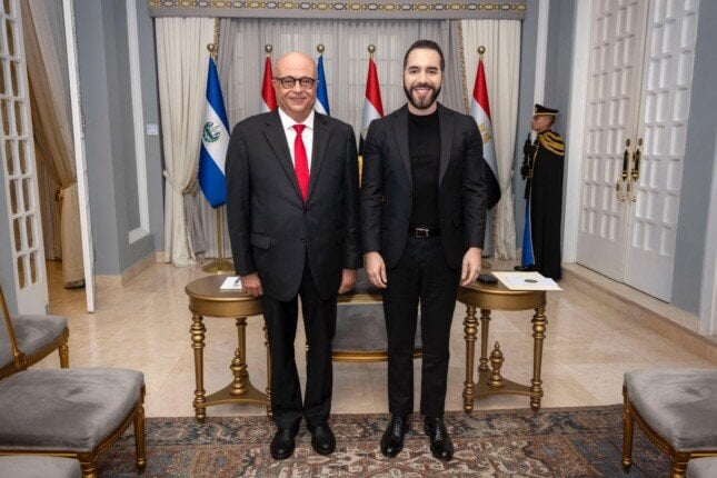السفير المصري يسلّم أوراق