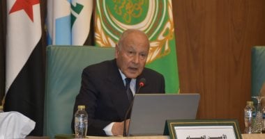 أبو الغيط: القمة العربية