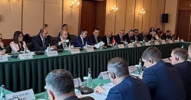 اللجنة المصرية الروسية المشتركة