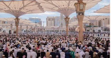 "المساعد الذكى".. نافذة رقمية