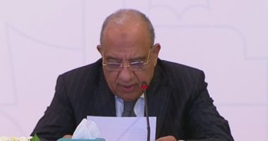 انتهاء كهرباء جنوب القاهرة