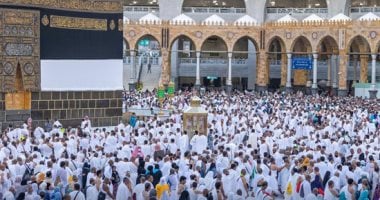 مسئول البعثة الطبية المصرية