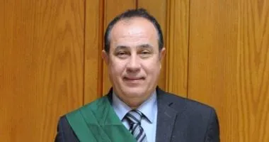 تأجيل محاكمة 17 متهما بقضية "خلية العجوزة الثانية" لجلسة 27 يوليو