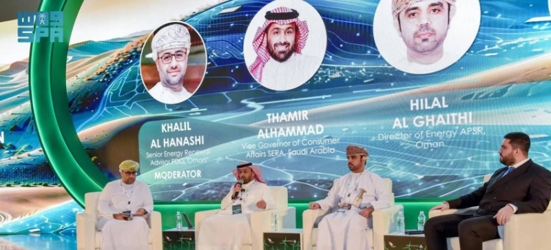 تجربة تنظيم الكهرباء في