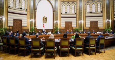 الرئيس السيسى: نتطلع لإنشاء