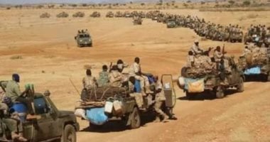الجيش السوداني يعلن تطهير