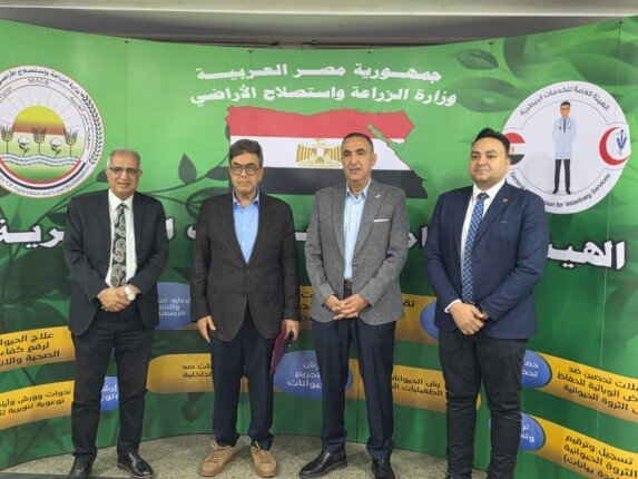 تعاون جديد بين «الخدمات