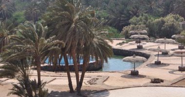 تعاون مثير بين غرفة