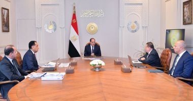 الرئيس السيسى يوجه بتعزيز