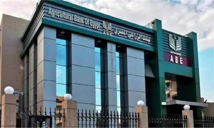 تعيين أبو السعود رئيساً