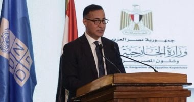 حمدى شعبان سفير مصر