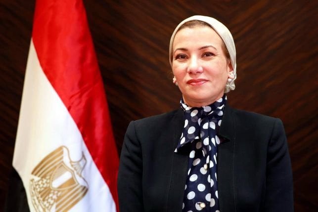تعيين ياسمين فؤاد أمينة