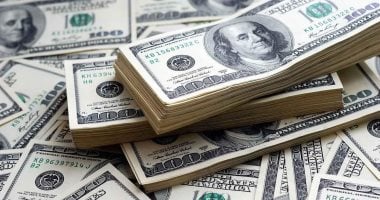 تقرير مفصل: سعر الدولار