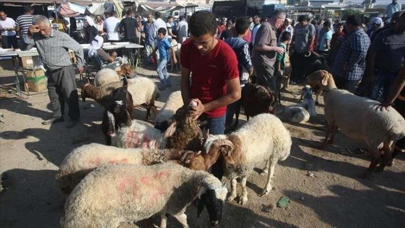 توقعات باقبال ضعيف على