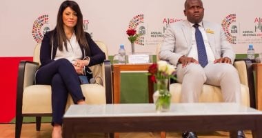 التخطيط: جذب 4 مليارات