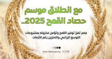 الحكومة تستعرض بالإنفوجراف جهود