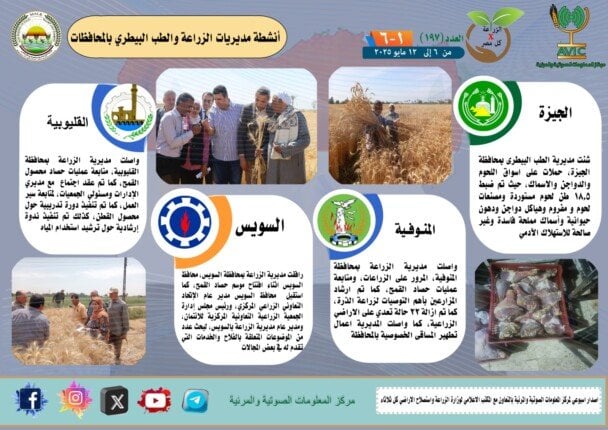 جهود حثيثة من مديريات