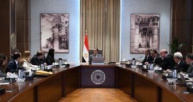 رئيس الوزراء يتابع جهود