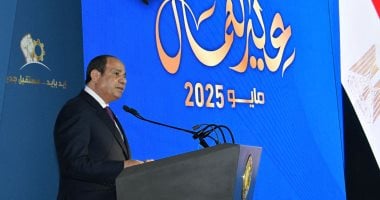الرئيس السيسى: نواصل الجهد