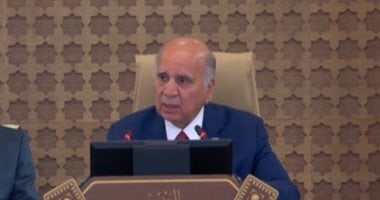 وزير خارجية العراق: ندعم