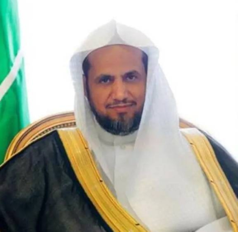 دور النيابات العامة في