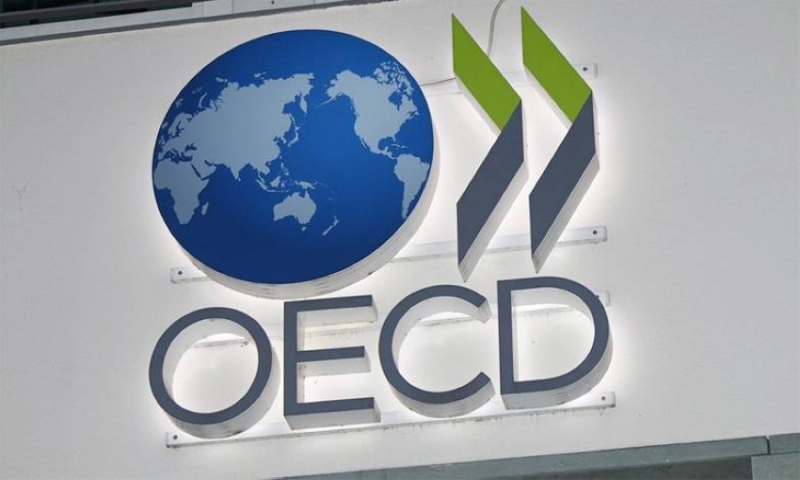 رئيس «OECD» يشيد بالتقويم