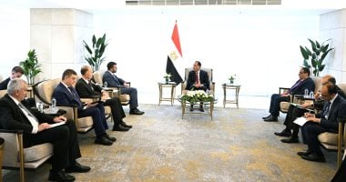 رئيس الوزراء يلتقى
