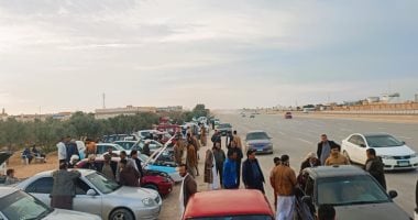 زيادة تراخيص السيارات الزيرو