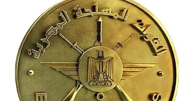 القوات المسلحة: سقوط طائرة