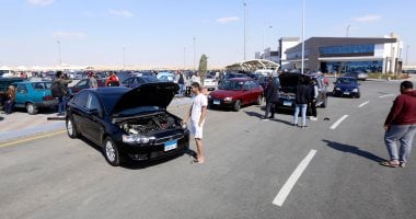سيارات النقل الأعلى ترخيصًا