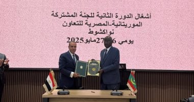 وزير الخارجية يترأس أعمال