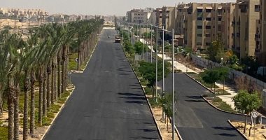 عوائد تقدر بـ 300