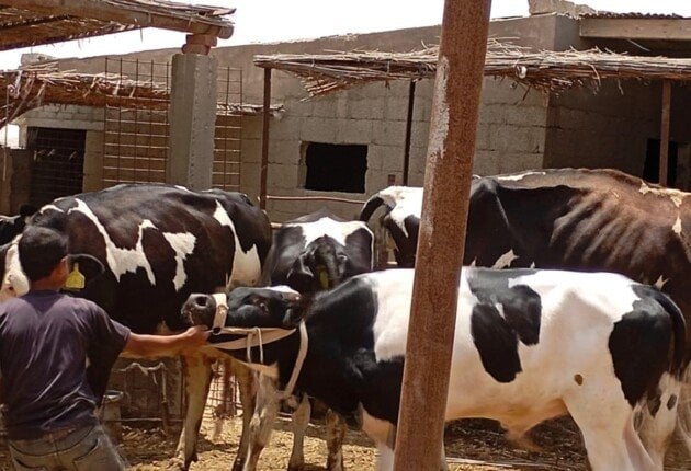 قافلة بيطرية لتحسين الثروة