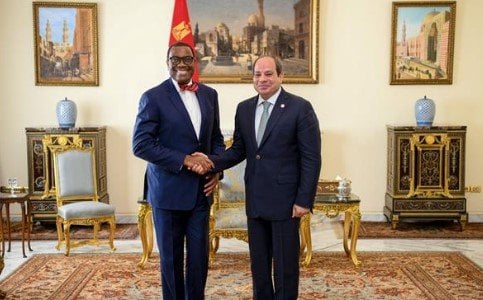 لقاء السيسي ورئيس البنك