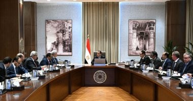 رئيس الوزراء يلتقى وفدا