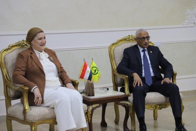 «لقاء مثمر» بين السنباطى
