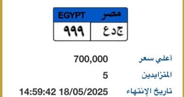 طرح لوحة سيارة مميزة