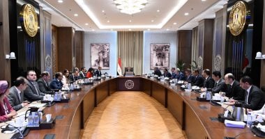 مجلس الوزراء: إجمالى مبيعات