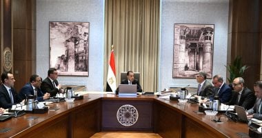 رئيس الوزراء يتابع الموقف