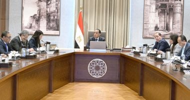 رئيس الوزراء يتابع أعمال