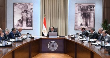 رئيس الوزراء يتابع موقف