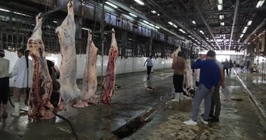 محافظ الجيزة: الذبح بالمجان
