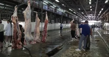 محافظ الجيزة: الذبح بالمجان فى المجازر الحكومية خلال أيام العيد