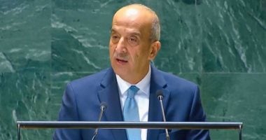 مندوب مصر لدى الأمم