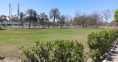أخبار مصر.. الطقس غدا