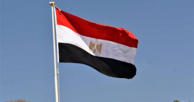 الخارجية: مصر تطالب جميع