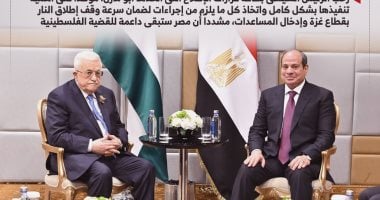 الرئيس السيسى يؤكد دعم