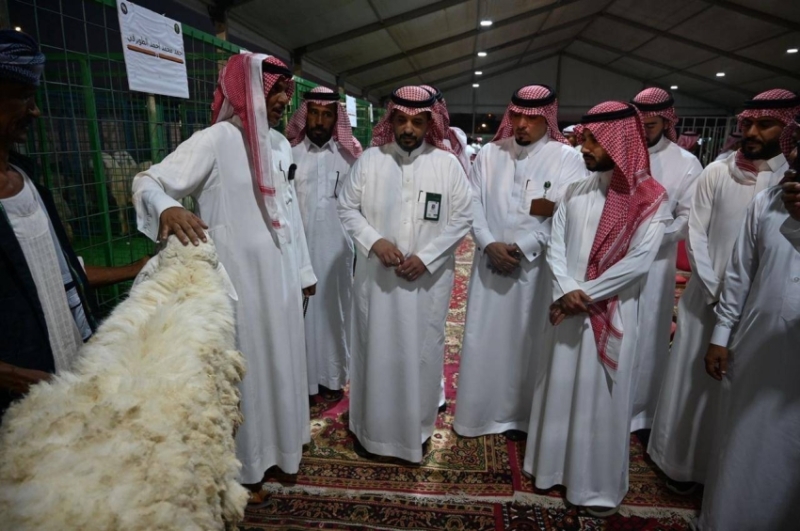 مهرجان الأنعام الأول ينطلق