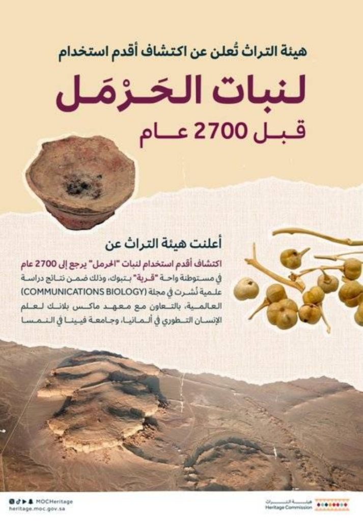 "نبات الحَرْمَل" يكشف عن