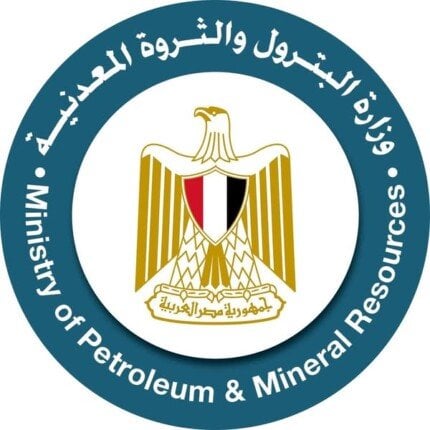 نتائج تحليل العينات العشوائية